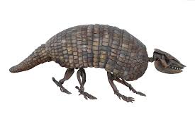 Image result for Inhambanella