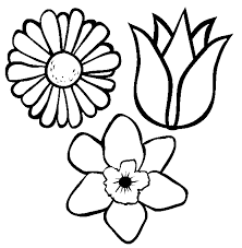 Poze Blog Imagini Cu Flori De Primavara Colorate