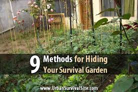 A secret survival garden will help you when an emergency strikes. 9 Methods For Hiding Your Survival Garden Urban Survival Site