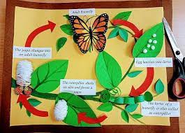Pin En Ciencias Naturales Y Sociales