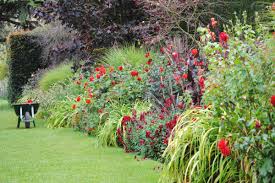 Maybe you would like to learn more about one of these? How To Create A Flower Bed That Wows The Eye Season After Season