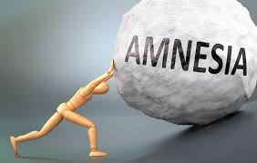 Image result for Amnesia