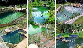 35 Impressive Backyard Ponds And Water Gardens Backyard Pool Natural Swimming Pools Natural Pool