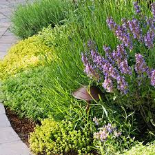 Gorgeous Garden Border Design Ideas For Any Yard In The West Sunset Garden Borders Herb Garden Design Gorgeous Gardens