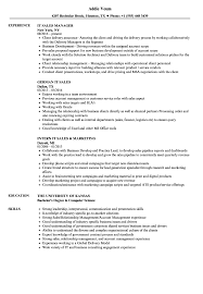 Free sample resume for it support engineers. It Sales Resume Samples Velvet Jobs