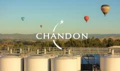 Wine Jobs Coldstream Yarra Valley Victoria Cellar Hands Chandon Vintage 2018