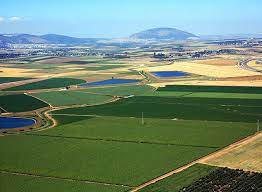במועצה אזורית עמק יזרעאל נמצאים מרבית יישובי עמק יזרעאל, והיא כוללת 15 קיבוצים, 15 מושבים, 6 יישובים קהילתיים ושני כפרי מיעוטים. Yvc Wmg