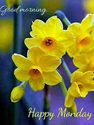 Good morning monday images good morning for him good morning funny good morning photos good morning sunshine good morning flowers morning we all love good morning images! Pin By Lw Mcdonald On Monday Good Morning Images Flowers Monday Morning Quotes Good Morning Greeting Cards