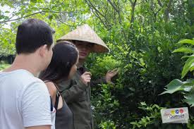 Colombia tierra querida mesa de los santos. Cabanas La Carolina Mesa De Los Santos Posts Facebook