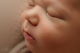 d.l.b. photography added a new photo.