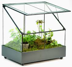 Amazon Com H Potter Terrarium Fairy Garden Display Case Pet Supplies Large Glass Terrarium Fairy Garden Fairy Garden Displays