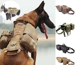 A salute to our u.s. Marine Corps Dog Harness Pasteurinstituteindia Com
