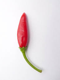 Frutescens (cayenne pepper and tabasco pepper, respectively). Peperoncino Aus Apulien Landschaftenschmecken