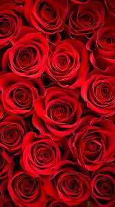 Download and use 50,000+ iphone wallpaper stock photos for free. Red Rose Wallpaper Iphone X 2021 3d Iphone Wallpaper