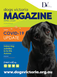 Includes details of puppies for sale from registered ankc breeders. Dogs Victoria Flip Ebook Pages 1 50 Anyflip Anyflip