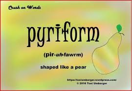 Pin On Crush On Words