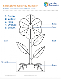 Inspirational plant coloring sheets 54 for coloring pages for adults with plant coloring sheets parts of a flower coloring page coloring sheet parts of a plant. Color By Number Spring Flower Printable Learning Resources Blog