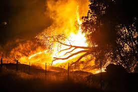The salinas fire has destroyed 16 homes and structures and damaged eight others, as of saturday morning. Madera County Proclaims State Of Emergency Due To River Fire The Fresno Bee