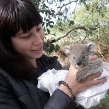 Where to buy clay and pottery tools in Bendigo?