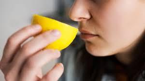 Chứng rối loạn khứu giác do đâu?