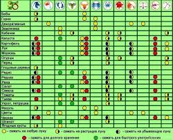 лунный календарь для комнатных растений на 2019 год таблица Lunnyj Posevnoj Kalendar Na 2020 God Ogorodnika Sadovoda Tablica Poseva Kalendar Vazhnye Daty Sadovye Idei