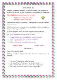 In a flower the female reproductive part is called the pistil. Anatomy Of A Flower Ks2 Year 5 Teaching Resources