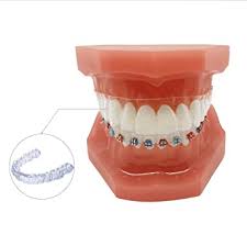It delivers around 30,000 strikes per minute. Dental Tools Dentist Braces Tooth Brush Tooth Paste Dental Hygienist Dentist Gift Dentist Svg Tooth Svg Teeth Art Collectibles Drawing Illustration Delage Com Br