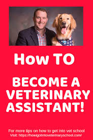 Maybe you would like to learn more about one of these? Pin On How I Got Into Vet School Site