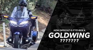 Image result for Pale Gold 1991 Motorcycle