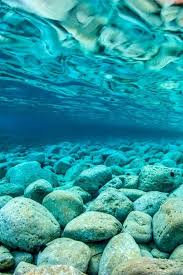 Pin By Mustafa On Akvaryum In 2020 Ocean Nature Pictures Turquoise Ocean