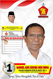 Rosan Roeslani, Ketua Tim Kampanye Nasional Prabowo-Gibran