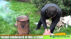 Mod de preparare lecso reteta de tocana de ardei ungureasca. Tocana Ciobaneasca De Miel La Ceaun Youtube
