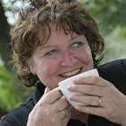 krulwilg met amaryllis als mooi bloemstukje voor in de huiskamer in 2021 tuinkas tuintips