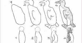  Contoh Gambar Binatang Yang Sederhana 15 Cara Menggambar Hewan Yang Mudah Seni Budayaku 15 Cara Menggambar Hewan Sketsa Hewan Gambar Hewan Menggambar Sketsa