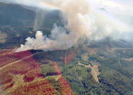 Maybe you would like to learn more about one of these? B C Declares A State Of Emergency Because Of Wildfires Times Colonist