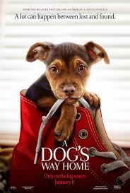 Egy kutya négy útja online magyar néz teljes film magyarul videa ingyenes 4k ultrahd | full hd (1080p) | sd egy kutya négy útja megtekintés vagy letöltés egy kutya négy útja megtekintés vagy letöltés rendező: A Dog S Way Home 2019 Imdb