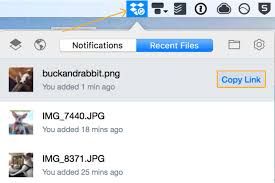 Download dropbox for mac & read reviews. How To Get Public Dropbox Links Order Desk Help Site