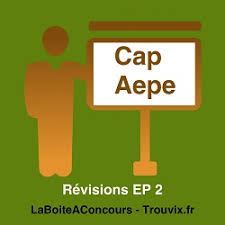Que ce soit à domicile, en crèches collectives, dans les écoles ou les haltes garderies, la formation cap accompagnant éducatif petite enfance par correspondance en. Cap Petite Enfance Revisions Epreuve Professionnelle 2 Exercer Son Activite En Accueil Collectif Trouvix