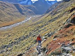 May 12, 2017 · hangerer hangerer. Hangerer 3 020 M Infoportal Zu Dogscooting Bike Joring Zughundesport