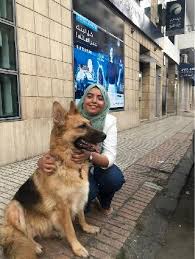 Paws is a luxury pet care facility located in port charlotte, florida designed especially for your pet's. Munich Best Pet Boarding Grooming For Dogs Cats With Pickup Petbacker Bavaria