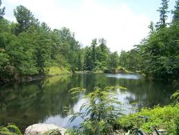 We did not find results for: Off Grid Living And Land For Sale In Alabama