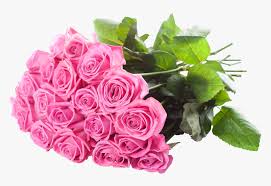 Lovepik provides 120000+ a bunch of flowers photos in hd resolution that updates everyday, you can free download for both personal and commerical use. Bouquet Of Pink Flowers Png Lovely Bouquet Of Flowers Transparent Png Kindpng