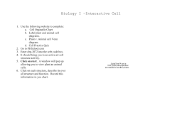 Cell Structure And Function Chart