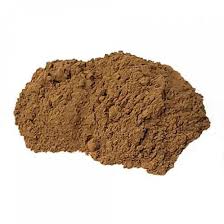 Image result for Bacopa monnieri