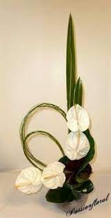 Flowers near me open early. Pin On Gardening