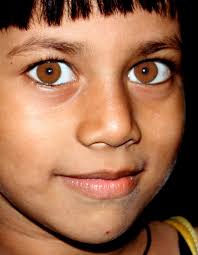 Amber Eyes Amber Eyes Amber Eyes Color Most Beautiful Eyes