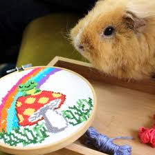 Summer khaki belfast linen with dmc floss, weeks dye works, and threadworx floss. Frog On Toadstool Cross Stitch Kit By Ellbie Co Notonthehighstreet Com