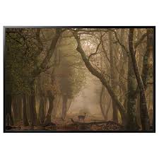 Bjorksta Picture And Frame Deer Black Ikea Bilder Rahmen Ikea