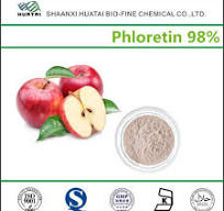 Apple Extract Phloretin 98% Powder at Best Price in Xian ...