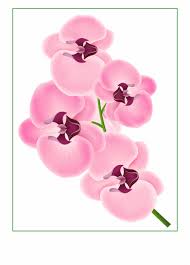 To explore more similar hd . Incredible Pink Png Image Flowers Of Bunga Orchid Clip Art Transparent Png Download 5022480 Vippng